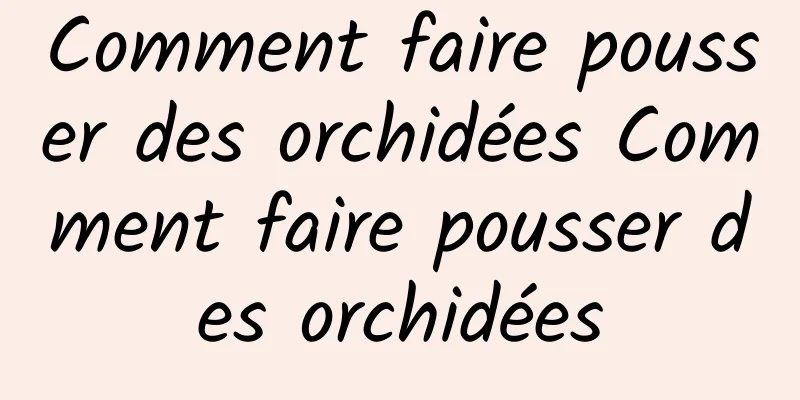 Comment faire pousser des orchidées Comment faire pousser des orchidées