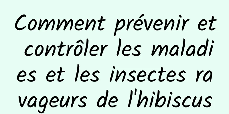 Comment prévenir et contrôler les maladies et les insectes ravageurs de l'hibiscus