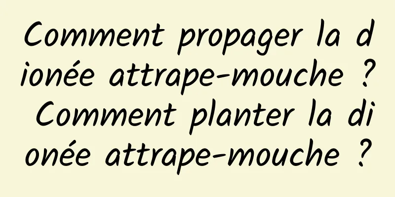 Comment propager la dionée attrape-mouche ? Comment planter la dionée attrape-mouche ?
