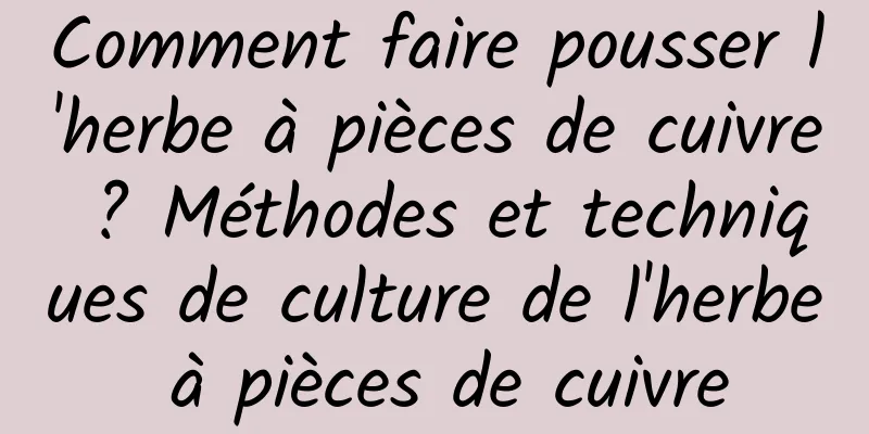 Comment faire pousser l'herbe à pièces de cuivre ? Méthodes et techniques de culture de l'herbe à pièces de cuivre