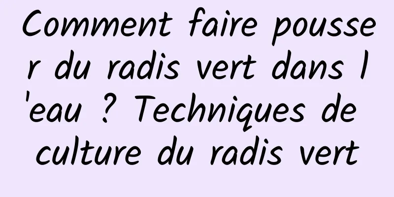 Comment faire pousser du radis vert dans l'eau ? Techniques de culture du radis vert