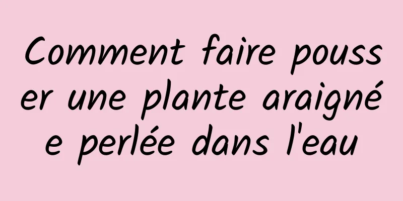 Comment faire pousser une plante araignée perlée dans l'eau