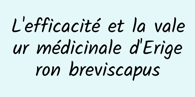 L'efficacité et la valeur médicinale d'Erigeron breviscapus