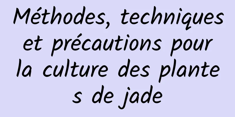 Méthodes, techniques et précautions pour la culture des plantes de jade