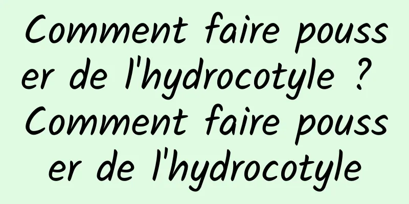 Comment faire pousser de l'hydrocotyle ? Comment faire pousser de l'hydrocotyle