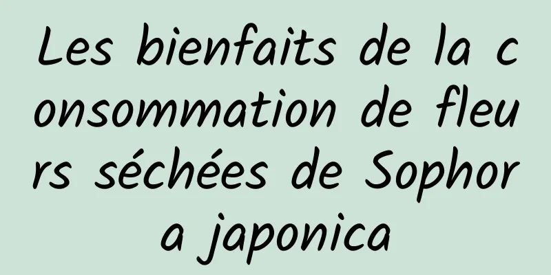Les bienfaits de la consommation de fleurs séchées de Sophora japonica