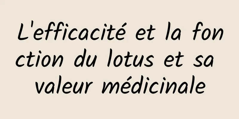 L'efficacité et la fonction du lotus et sa valeur médicinale