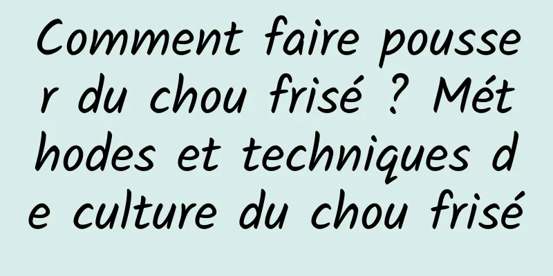Comment faire pousser du chou frisé ? Méthodes et techniques de culture du chou frisé