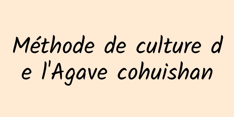 Méthode de culture de l'Agave cohuishan