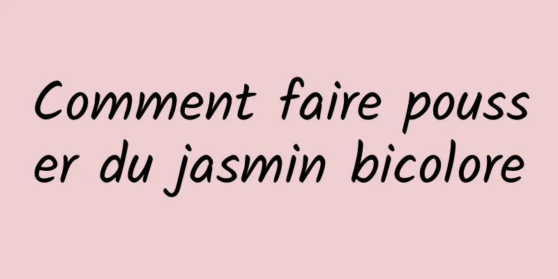 Comment faire pousser du jasmin bicolore