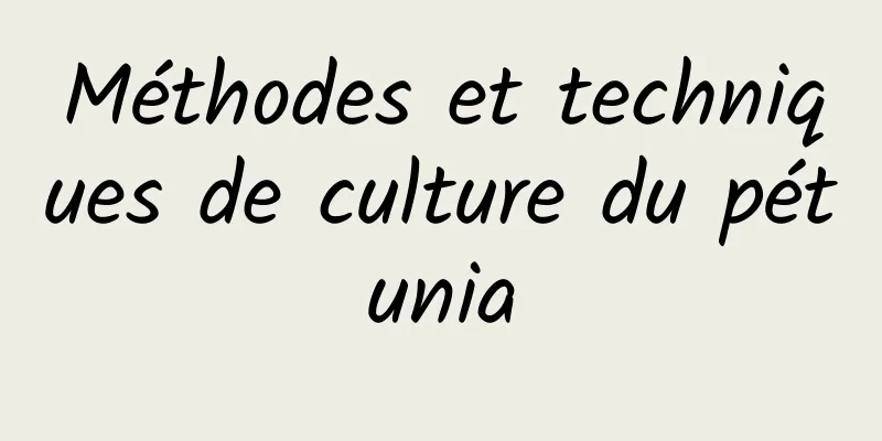 Méthodes et techniques de culture du pétunia
