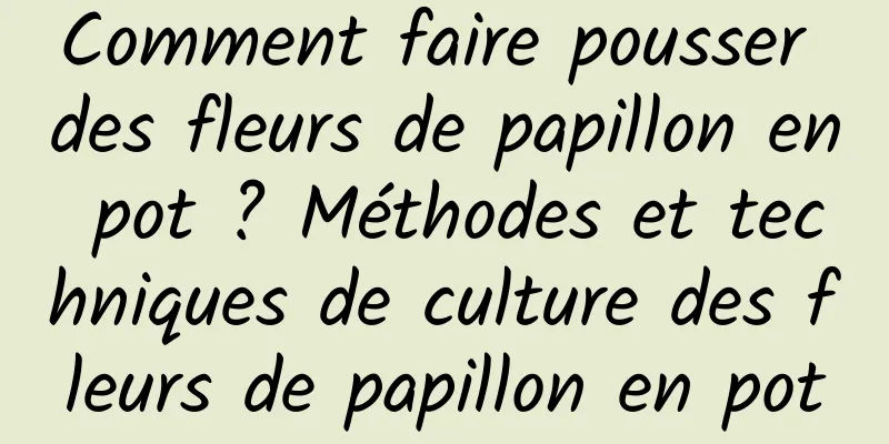 Comment faire pousser des fleurs de papillon en pot ? Méthodes et techniques de culture des fleurs de papillon en pot
