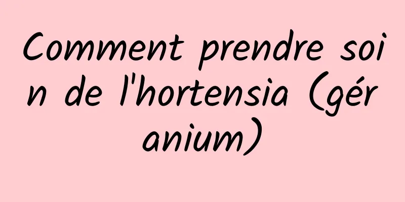 Comment prendre soin de l'hortensia (géranium)