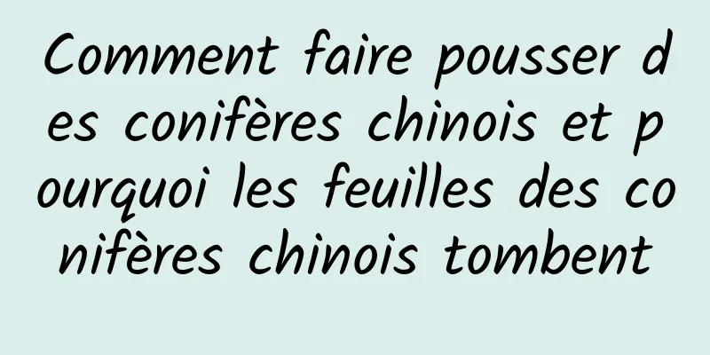 Comment faire pousser des conifères chinois et pourquoi les feuilles des conifères chinois tombent