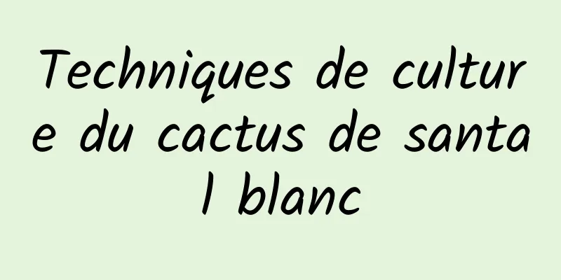Techniques de culture du cactus de santal blanc