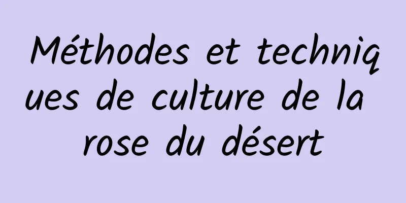 Méthodes et techniques de culture de la rose du désert