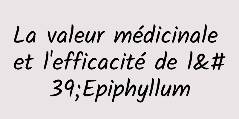 La valeur médicinale et l'efficacité de l'Epiphyllum