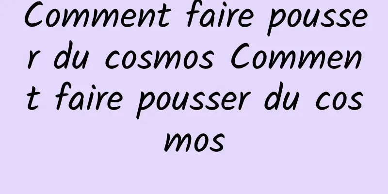 Comment faire pousser du cosmos Comment faire pousser du cosmos