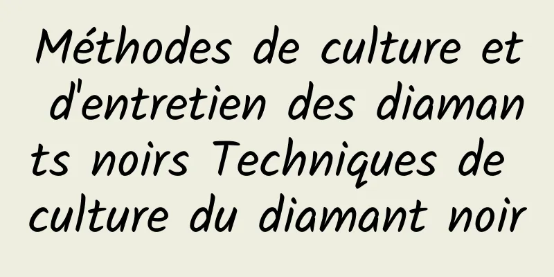 Méthodes de culture et d'entretien des diamants noirs Techniques de culture du diamant noir