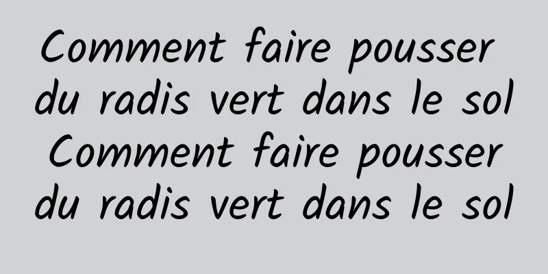 Comment faire pousser du radis vert dans le sol Comment faire pousser du radis vert dans le sol