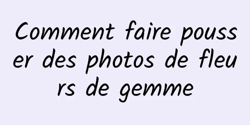 Comment faire pousser des photos de fleurs de gemme