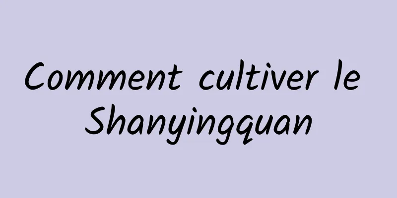 Comment cultiver le Shanyingquan