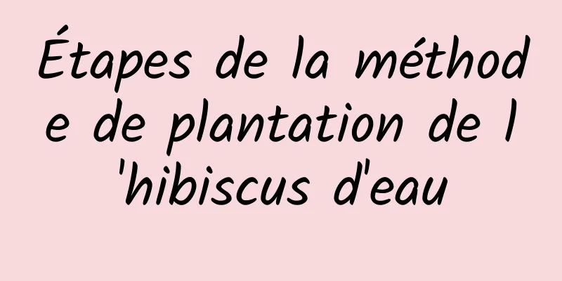 Étapes de la méthode de plantation de l'hibiscus d'eau