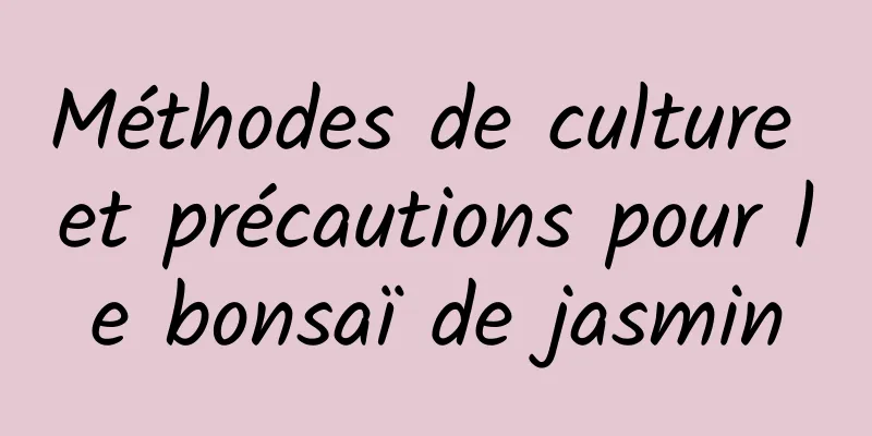 Méthodes de culture et précautions pour le bonsaï de jasmin