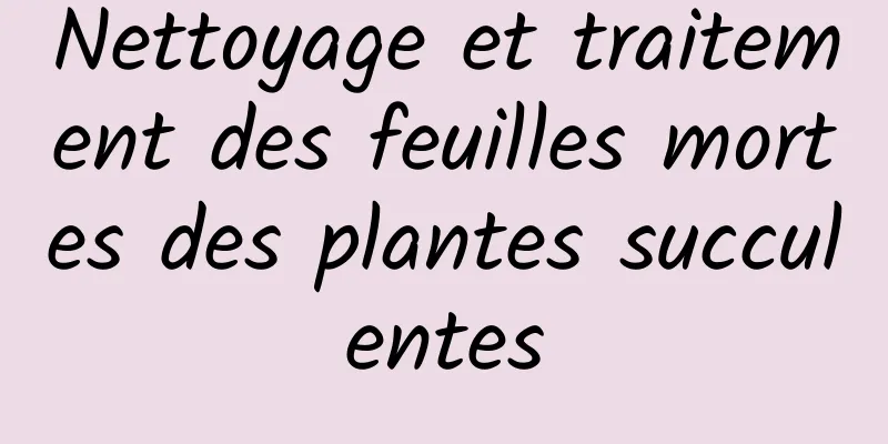 Nettoyage et traitement des feuilles mortes des plantes succulentes