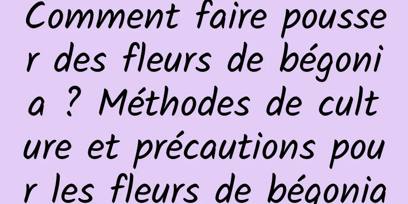 Comment faire pousser des fleurs de bégonia ? Méthodes de culture et précautions pour les fleurs de bégonia