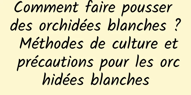 Comment faire pousser des orchidées blanches ? Méthodes de culture et précautions pour les orchidées blanches