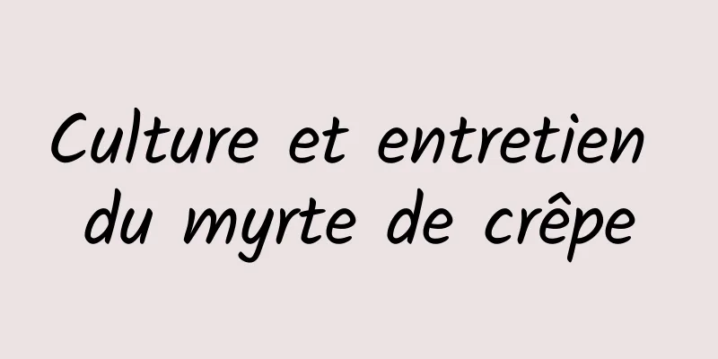 Culture et entretien du myrte de crêpe