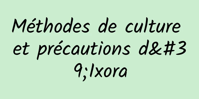 Méthodes de culture et précautions d'Ixora