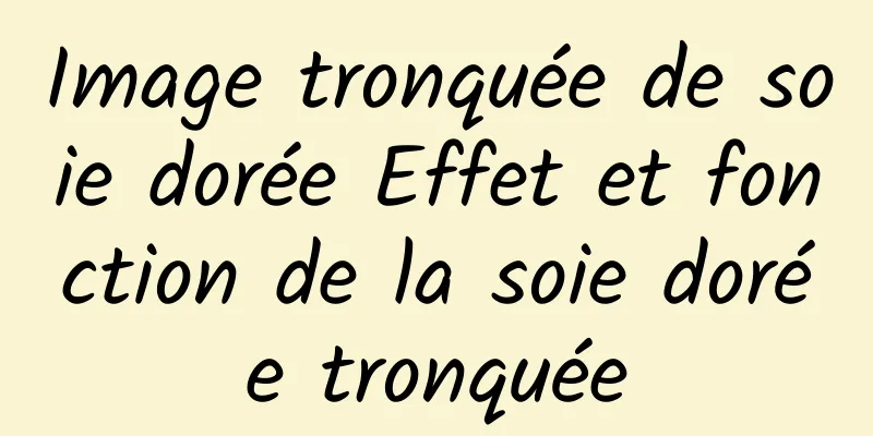 Image tronquée de soie dorée Effet et fonction de la soie dorée tronquée