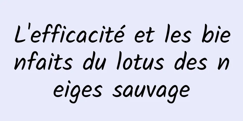 L'efficacité et les bienfaits du lotus des neiges sauvage