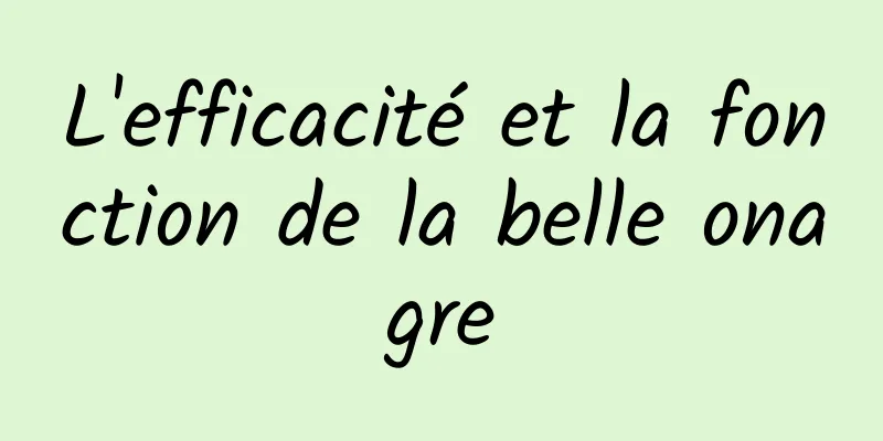 L'efficacité et la fonction de la belle onagre