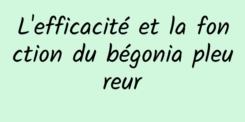 L'efficacité et la fonction du bégonia pleureur
