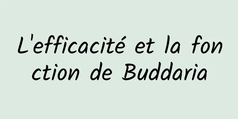L'efficacité et la fonction de Buddaria