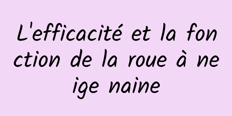 L'efficacité et la fonction de la roue à neige naine