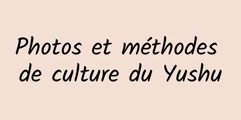Photos et méthodes de culture du Yushu