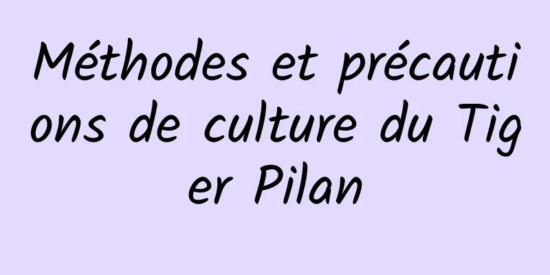 Méthodes et précautions de culture du Tiger Pilan