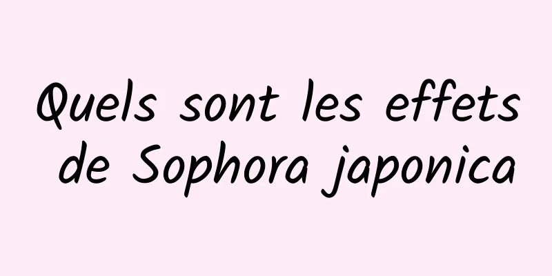 Quels sont les effets de Sophora japonica
