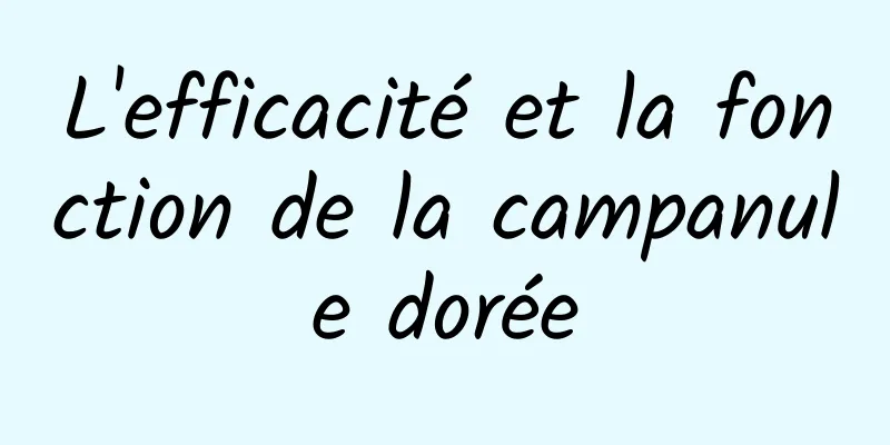 L'efficacité et la fonction de la campanule dorée