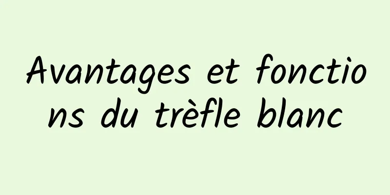 Avantages et fonctions du trèfle blanc