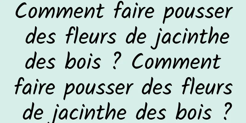 Comment faire pousser des fleurs de jacinthe des bois ? Comment faire pousser des fleurs de jacinthe des bois ?