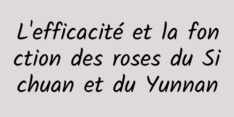 L'efficacité et la fonction des roses du Sichuan et du Yunnan
