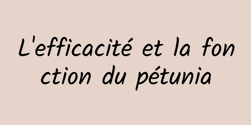 L'efficacité et la fonction du pétunia