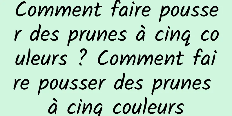 Comment faire pousser des prunes à cinq couleurs ? Comment faire pousser des prunes à cinq couleurs