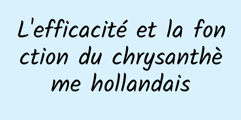 L'efficacité et la fonction du chrysanthème hollandais