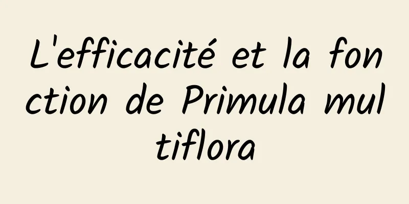 L'efficacité et la fonction de Primula multiflora